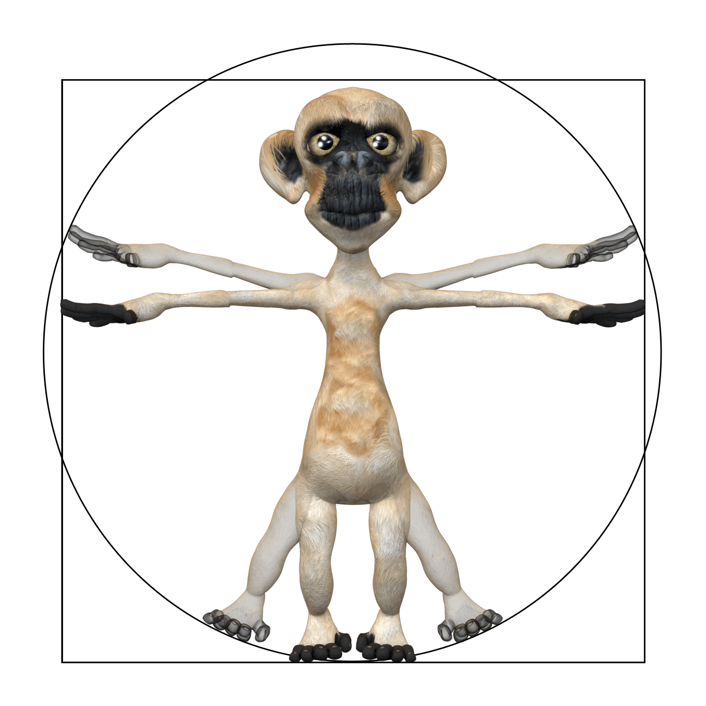 Vitruvian Simian